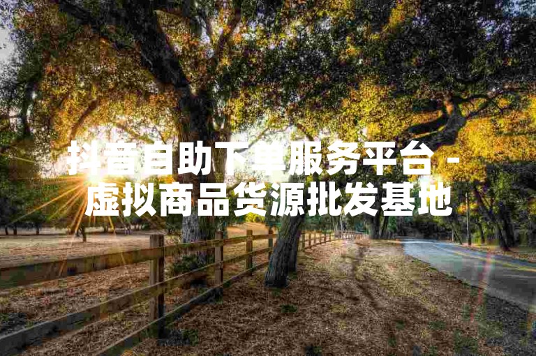 抖音自助下单服务平台 - 虚拟商品货源批发基地