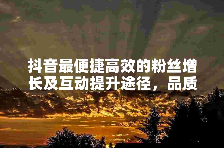 抖音最便捷高效的粉丝增长及互动提升途径，品质优良且费用亲民抖音快手涨粉链接-随时自助点单超实惠深度剖析