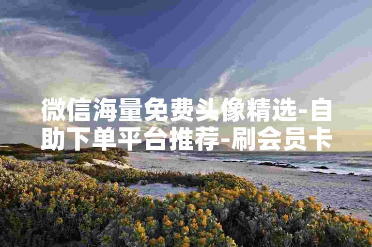 微信海量免费头像精选-自助下单平台推荐-刷会员卡盟永久服务-刷和平精英人气最低价
