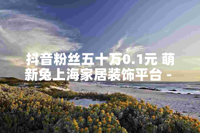 抖音粉丝五十万0.1元 萌新兔上海家居装饰平台 - 抖音代管盈利-KS优惠下单在哪买？