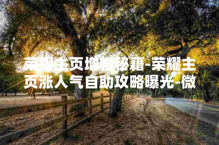 荣耀主页增粉秘籍-荣耀主页涨人气自助攻略曝光-微信业务网平台-dy自助下单服务极速到账大揭秘