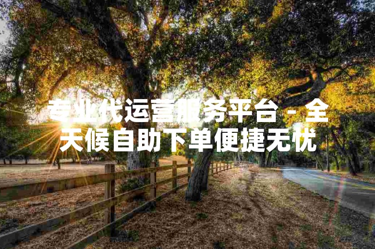 专业代运营服务平台 - 全天候自助下单便捷无忧