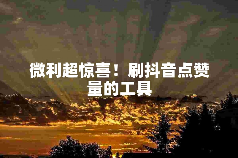 微利超惊喜！刷抖音点赞量的工具