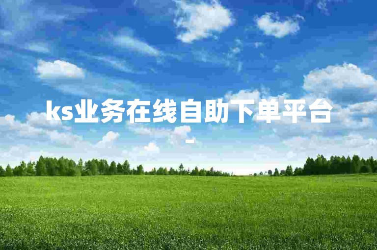 ks业务在线自助下单平台-