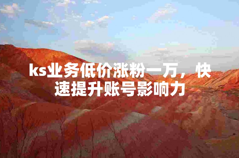 ks业务低价涨粉一万，快速提升账号影响力