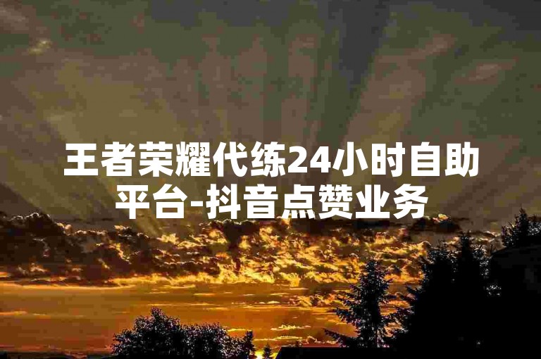 王者荣耀代练24小时自助平台-抖音点赞业务