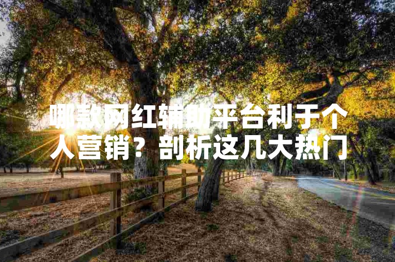 哪款网红辅助平台利于个人营销？剖析这几大热门平台