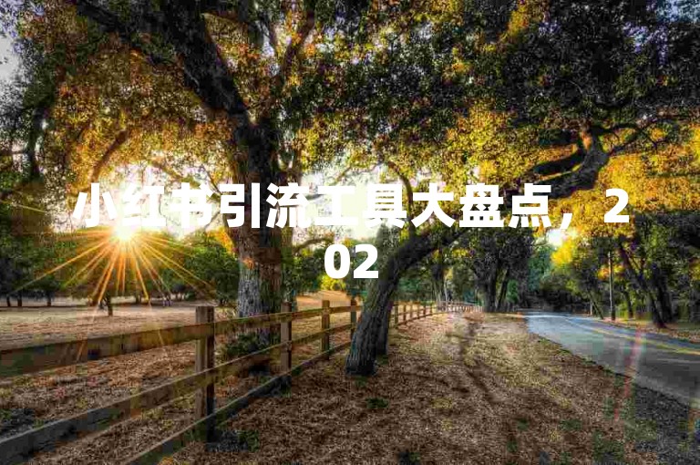 小红书引流工具大盘点，2025必备的高效引流秘籍揭秘！