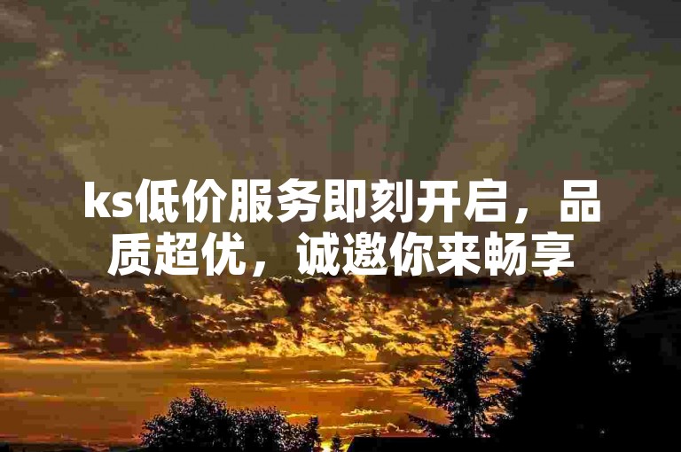 ks低价服务即刻开启，品质超优，诚邀你来畅享