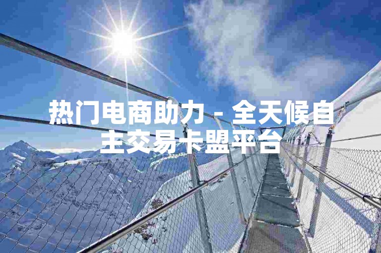 热门电商助力 - 全天候自主交易卡盟平台