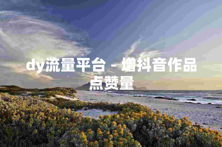 dy流量平台 - 增抖音作品点赞量