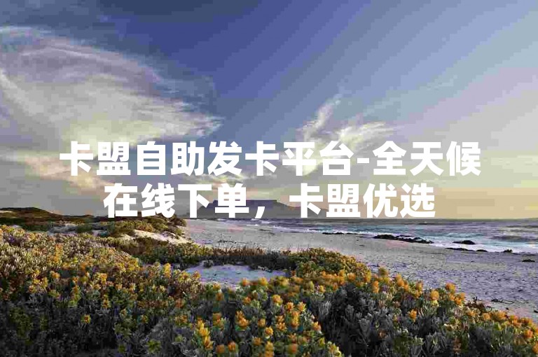 卡盟自助发卡平台-全天候在线下单，卡盟优选