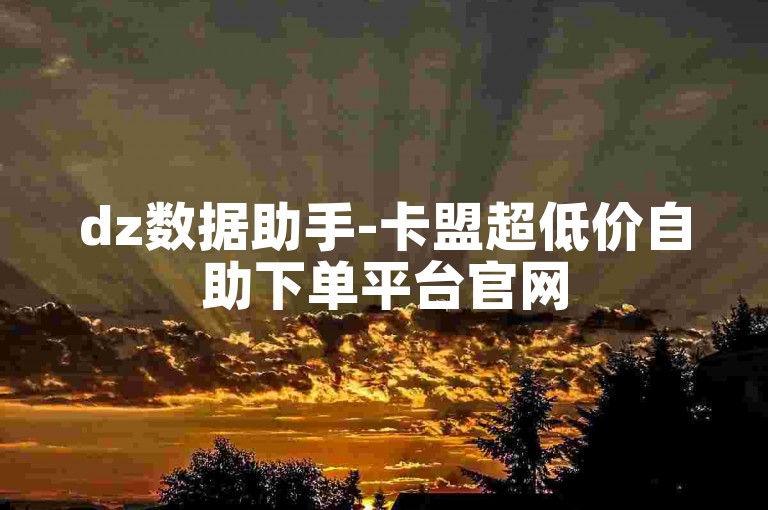 dz数据助手-卡盟超低价自助下单平台官网
