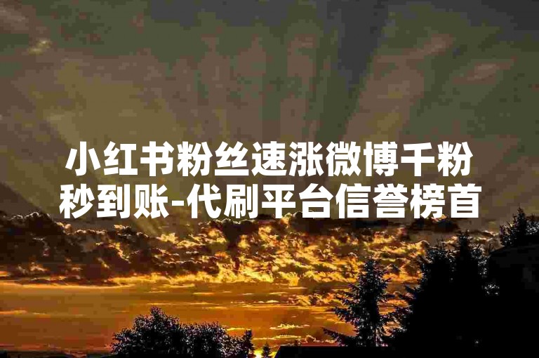 小红书粉丝速涨微博千粉秒到账-代刷平台信誉榜首站