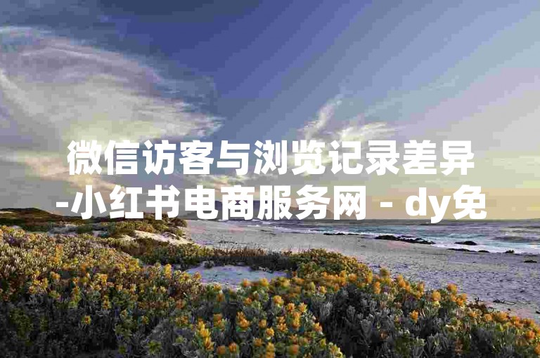 微信访客与浏览记录差异-小红书电商服务网 - dy免费业务平台go - 微博卡盟业务