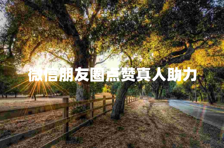 微信朋友圈点赞真人助力500-低价实惠点赞平台