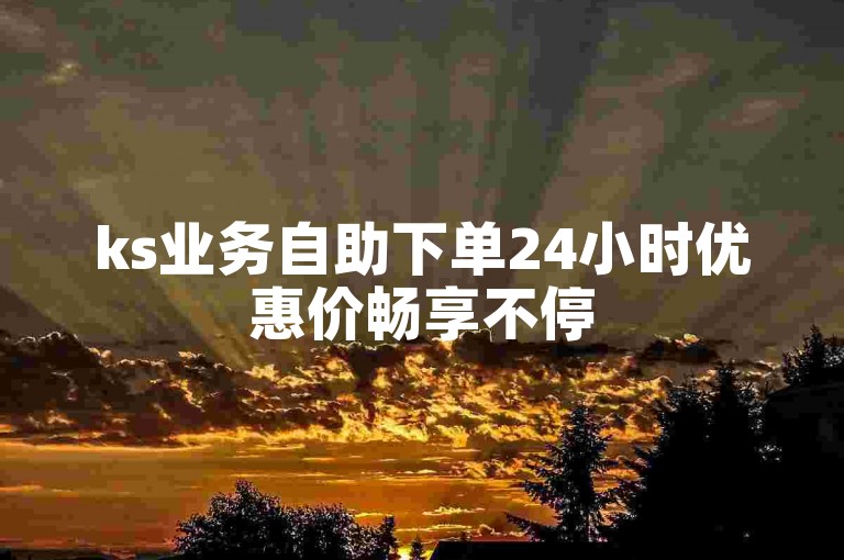 ks业务自助下单24小时优惠价畅享不停
