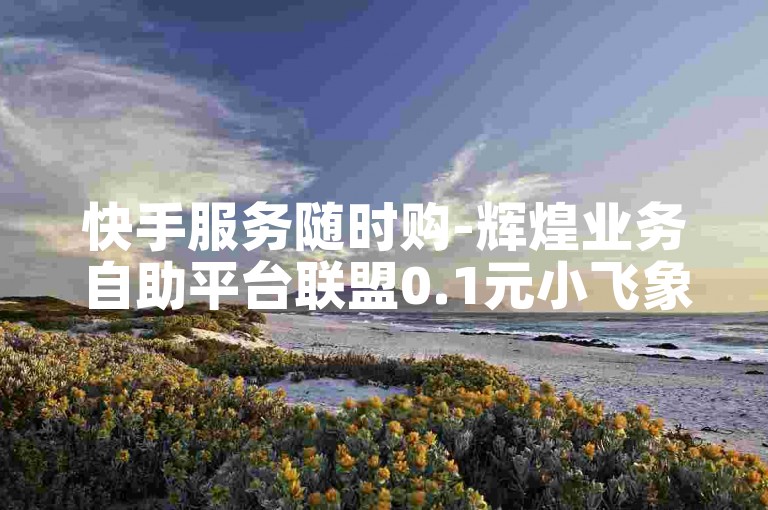 快手服务随时购-辉煌业务自助平台联盟0.1元小飞象极速达
