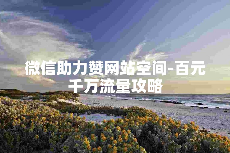 微信助力赞网站空间-百元千万流量攻略