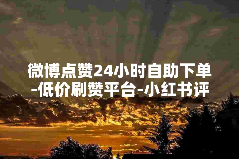 微博点赞24小时自助下单-低价刷赞平台-小红书评论赞代刷服务