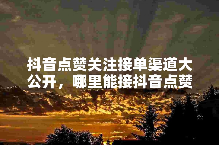 抖音点赞关注接单渠道大公开，哪里能接抖音点赞关注单？2024速看！
