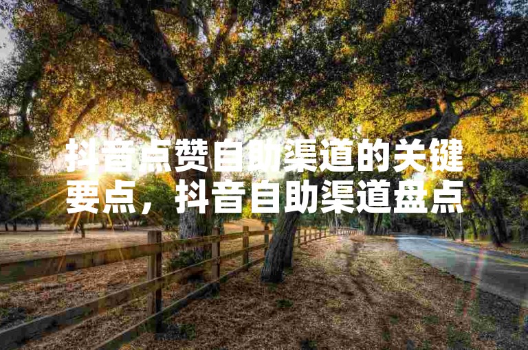 抖音点赞自助渠道的关键要点，抖音自助渠道盘点，深度剖析！新手必看！