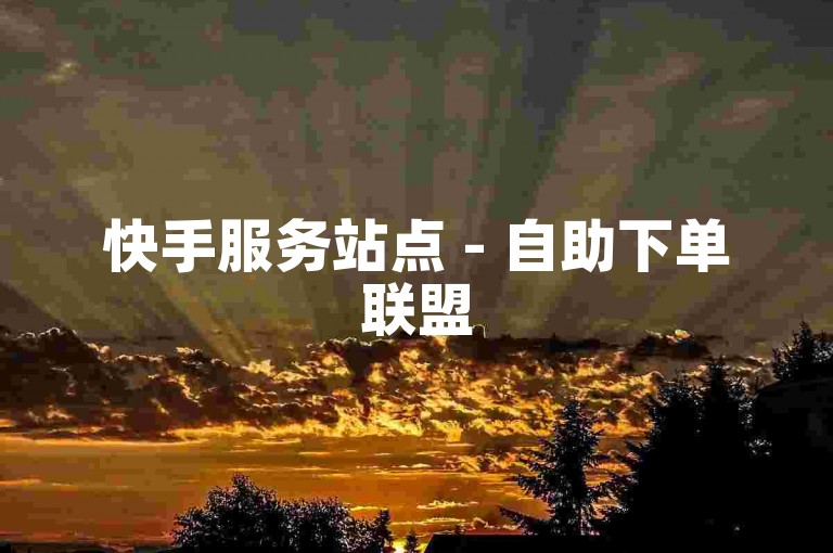 快手服务站点 - 自助下单联盟