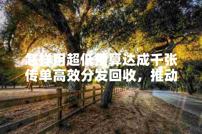 怎样用超低预算达成千张传单高效分发回收，推动店铺营销飞跃？抖音增5千粉-即时自助购平台激情开启！