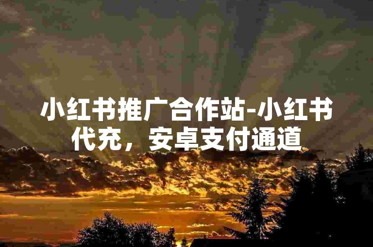 小红书推广合作站-小红书代充，安卓支付通道