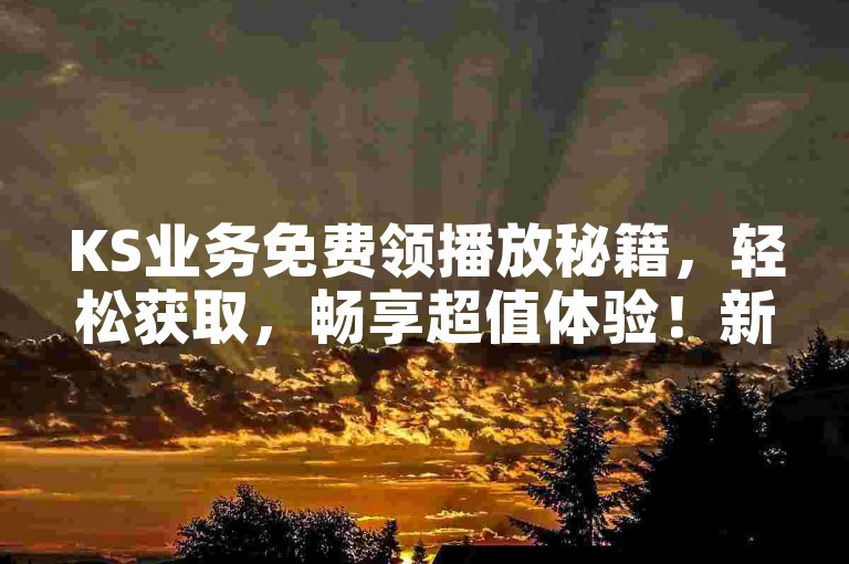 KS业务免费领播放秘籍，轻松获取，畅享超值体验！新手必看，快速涨粉攻略