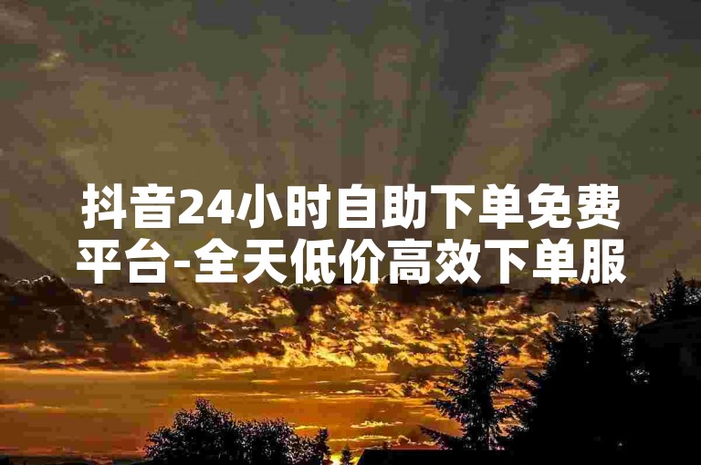 抖音24小时自助下单免费平台-全天低价高效下单服务优势