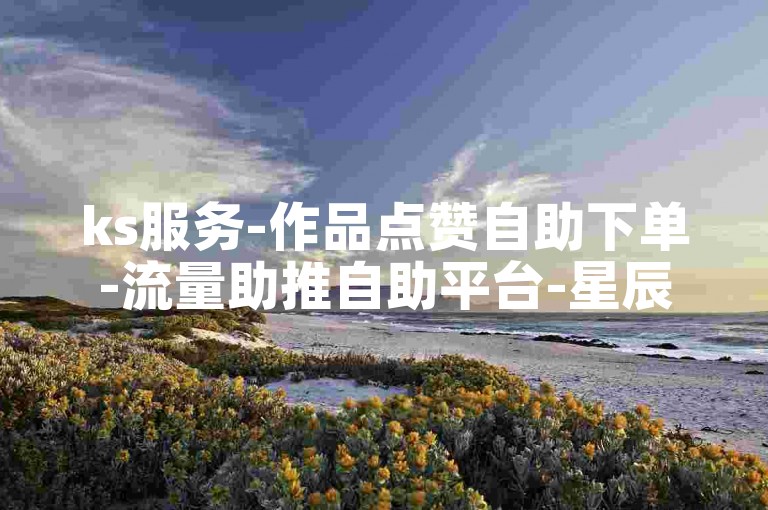 ks服务-作品点赞自助下单-流量助推自助平台-星辰云商城下单平台