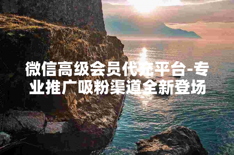 微信高级会员代充平台-专业推广吸粉渠道全新登场！