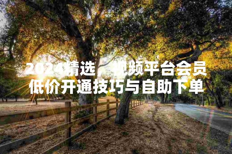 2024精选，视频平台会员低价开通技巧与自助下单全攻略！