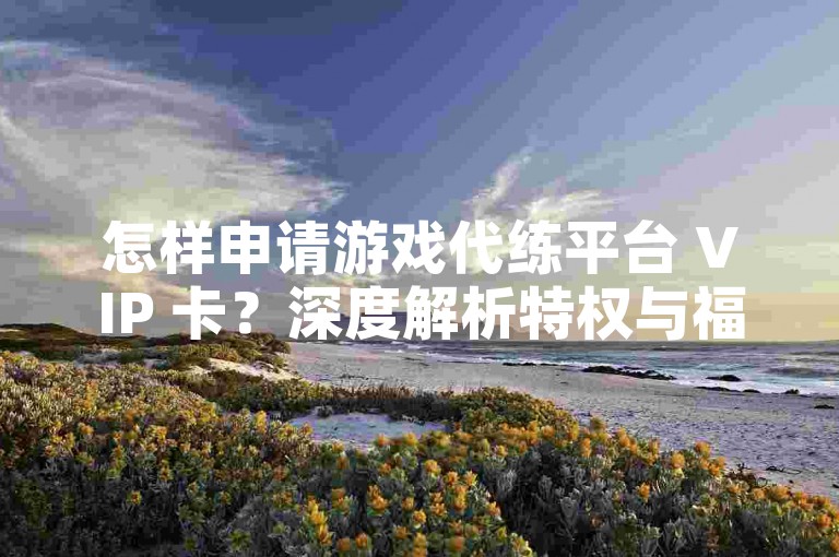 怎样申请游戏代练平台 VIP 卡？深度解析特权与福利详情！