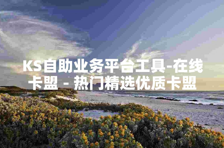 KS自助业务平台工具-在线卡盟 - 热门精选优质卡盟活动