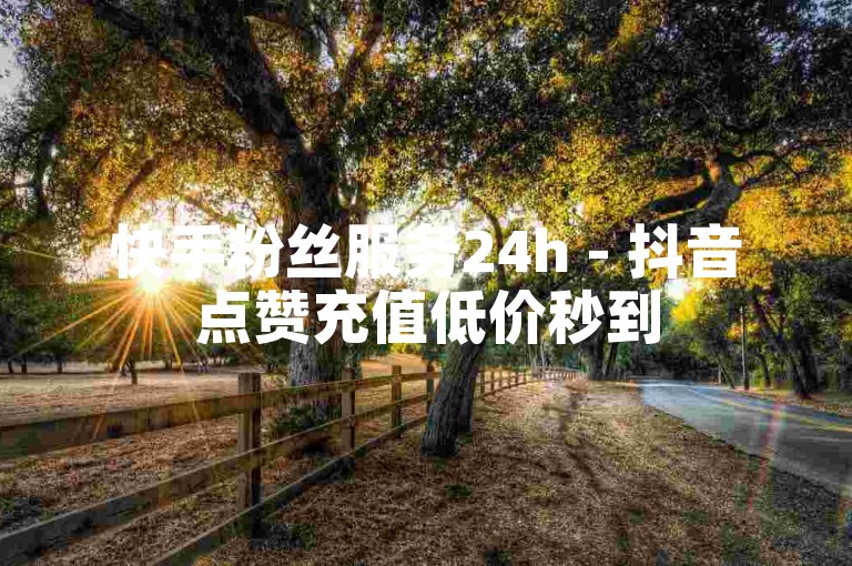 快手粉丝服务24h - 抖音点赞充值低价秒到