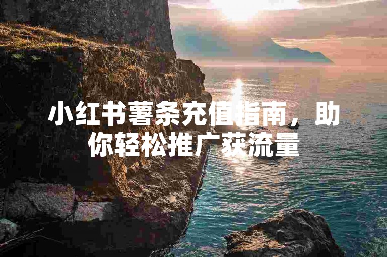 小红书薯条充值指南，助你轻松推广获流量