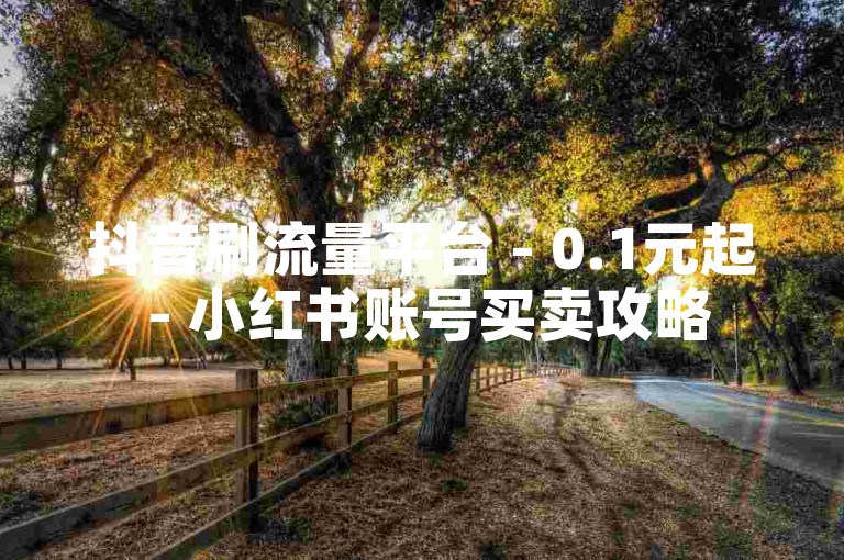 抖音刷流量平台 - 0.1元起 - 小红书账号买卖攻略