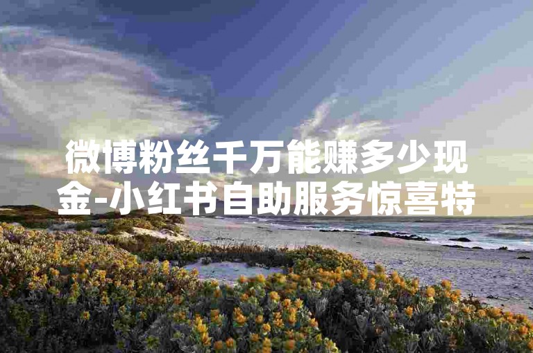 微博粉丝千万能赚多少现金-小红书自助服务惊喜特惠价