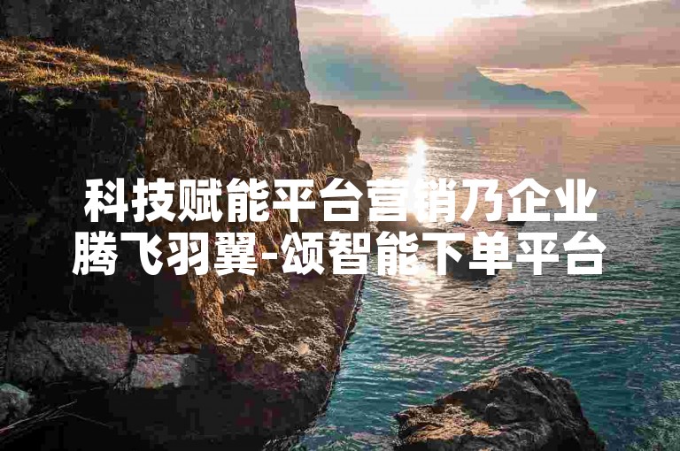 科技赋能平台营销乃企业腾飞羽翼-颂智能下单平台网站实惠