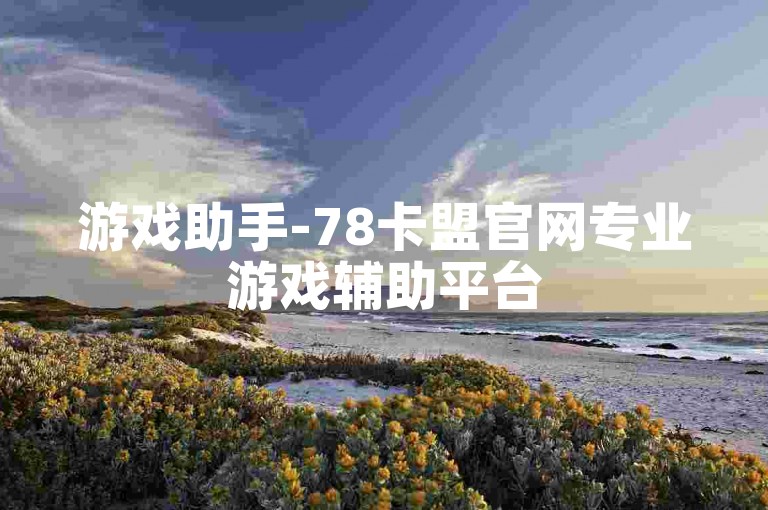 游戏助手-78卡盟官网专业游戏辅助平台