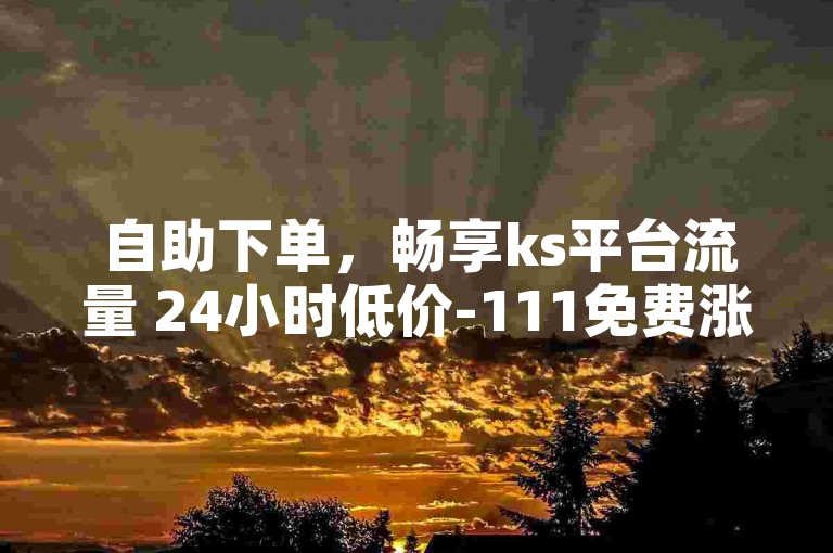 自助下单，畅享ks平台流量 24小时低价-111免费涨粉