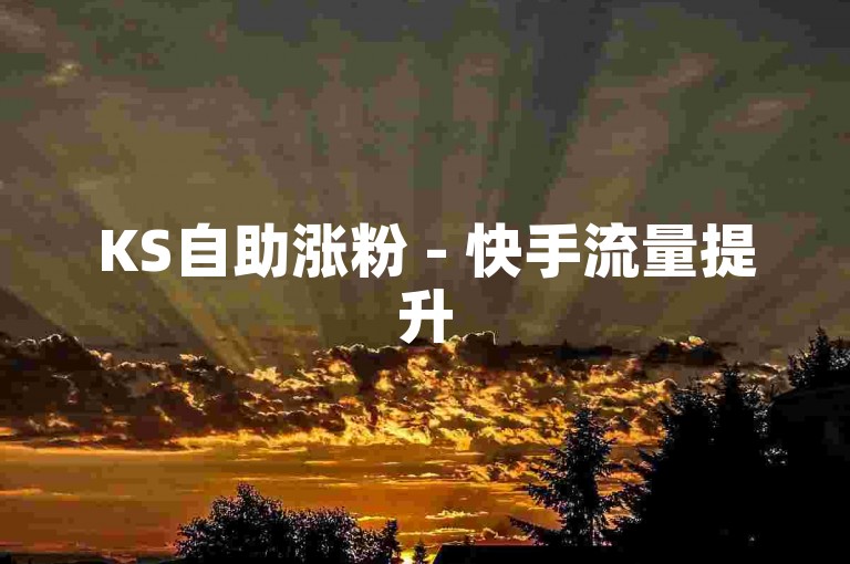KS自助涨粉 - 快手流量提升