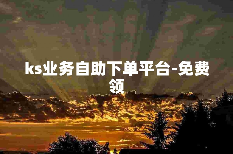 ks业务自助下单平台-免费领5000张宣传单-靠谱之选