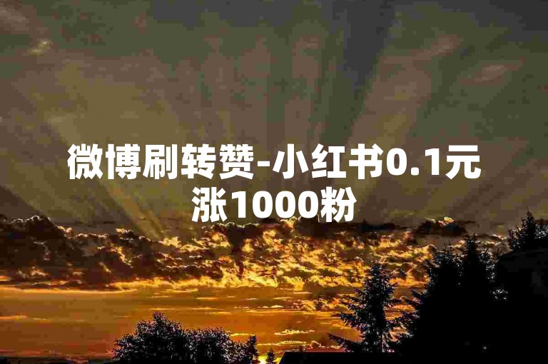 微博刷转赞-小红书0.1元涨1000粉