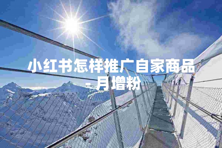 小红书怎样推广自家商品 - 月增粉 500 +，微博常规如此吗？---