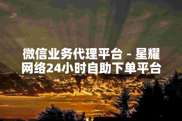 微信业务代理平台 - 星耀网络24小时自助下单平台特惠-