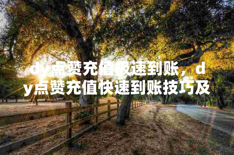 dy点赞充值极速到账，dy点赞充值快速到账技巧及注意事项详解