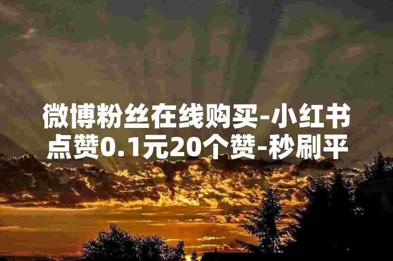 微博粉丝在线购买-小红书点赞0.1元20个赞-秒刷平台全天自助-微博粉丝5元500个粉